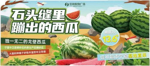 吃瓜网热门大赛